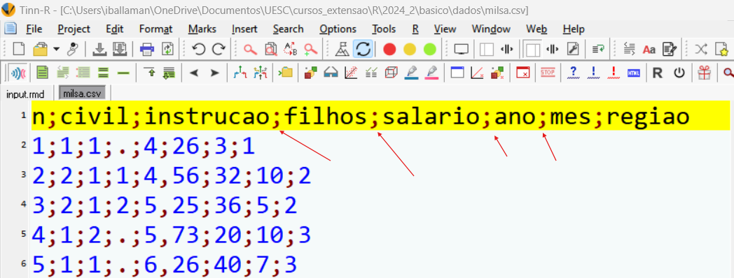 Interface do Tinn-R enfatizando o separador de colunas vírgula nos dados